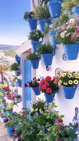 صباح الخير☕️🌹