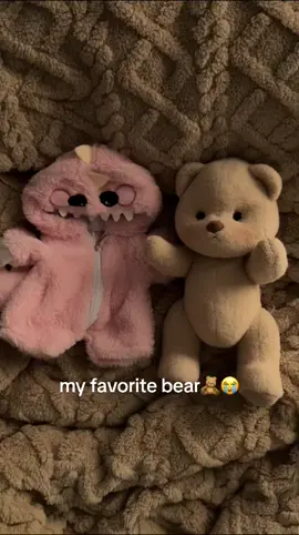 So cute 😭😭😭#teddybear #getahugco #giftideas #cute 
