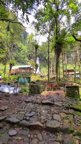 📍 Curug Cibeureum 🍃🍃#Curug #curugcibeureumcibodas #gununggedepangrango #tnggp 