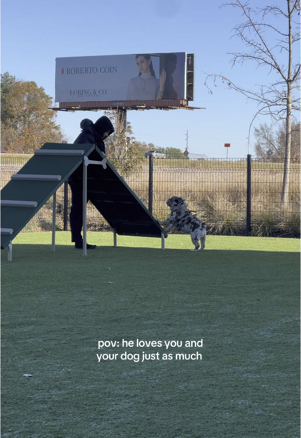I could cry 😭 #fyp #dogtok #dogmom #doglover #dogsoftiktok 