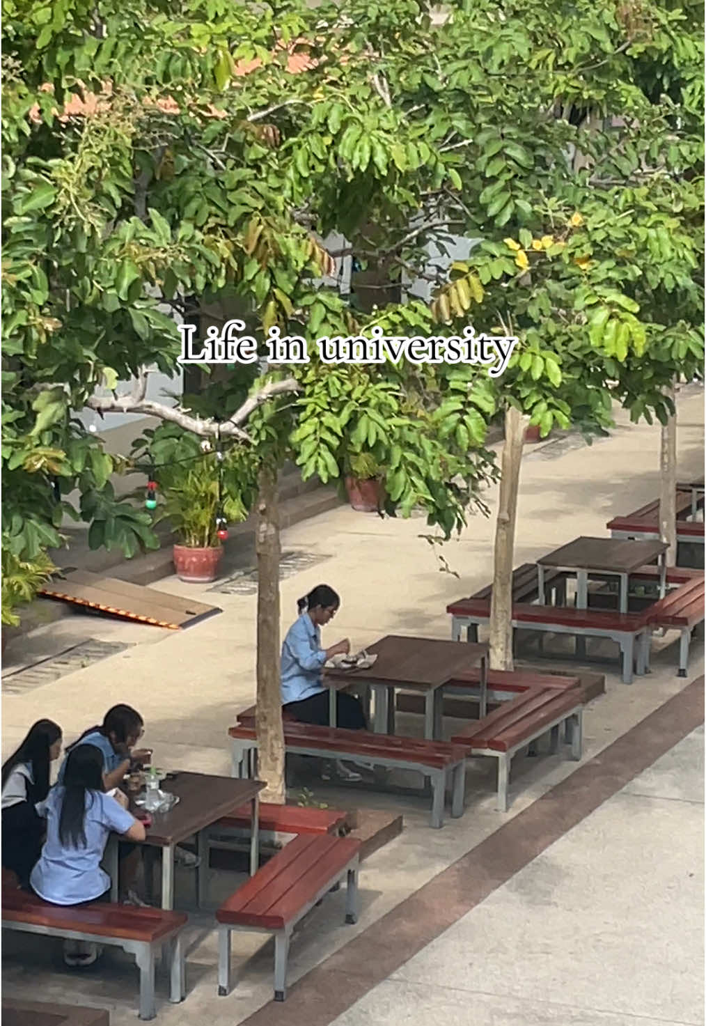 Try, Believe, Success 🤍Alone but not lonely ❤️🫶#NUM 