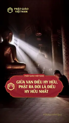 GIỮA VẠN ĐIỀU HY HỮU, PHẬT RA ĐỜI LÀ ĐIỀU HY HỮU NHẤT! #phatphap #phatphapnhiemmau #phatgiaovietnam #ducphatthichcamauni