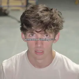 #FLAMINGO | He genuinely gives me Kurk from Spree vibes in his merch videos | #flamingoalbert #flamingoedit #youtuber #youtuberedit #demented #roblox #cleetus #flamingomerch #edit #fyp #fypシ #fypage #foryou #foryoupage #fypシ゚viral #viral #trend #trending