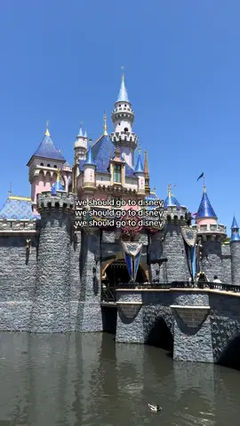 y’all hear that? 🤭 #fyp #disneyland #disneyland70 #dca #trending 