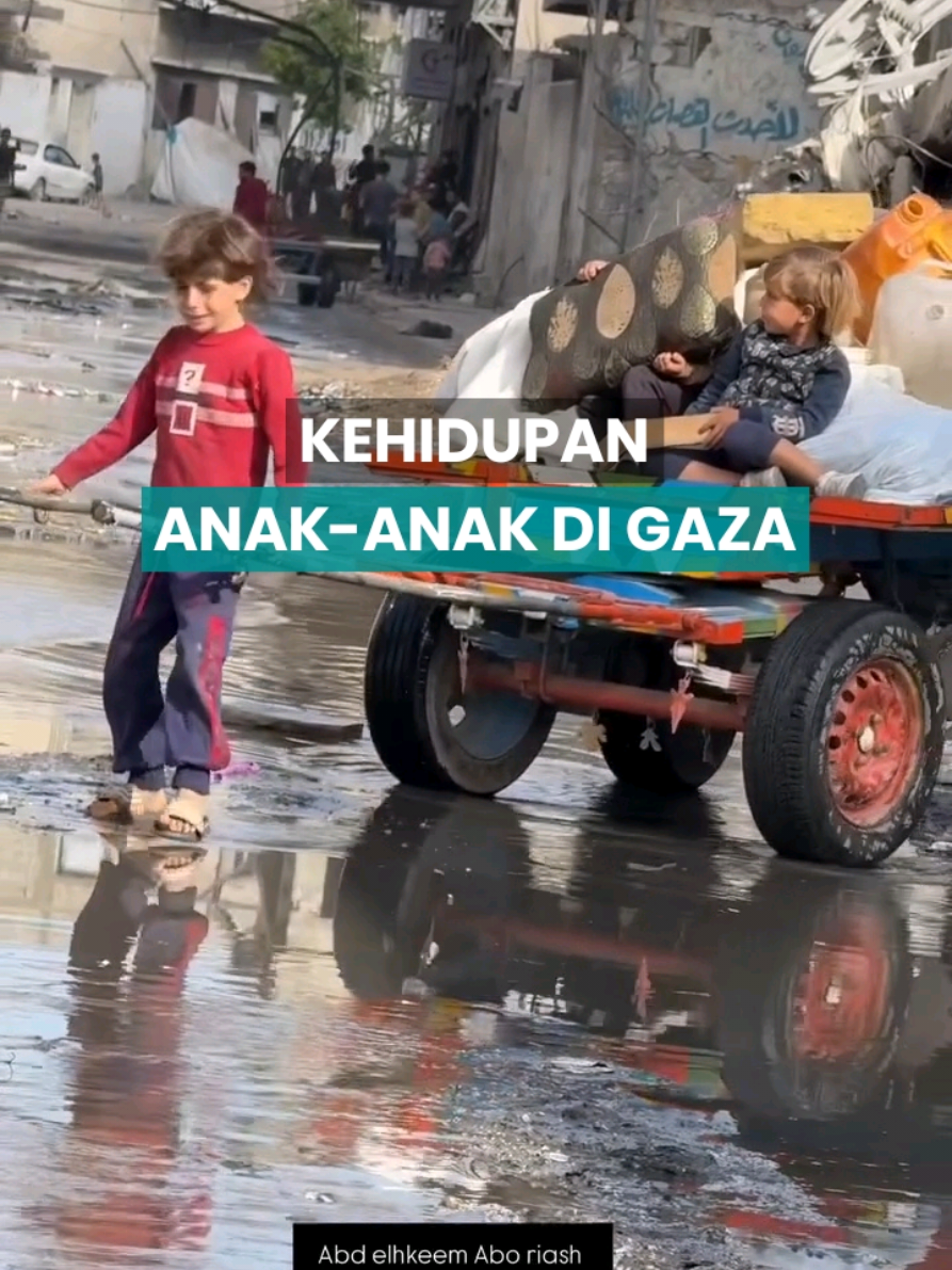 Seorang anak Palestina pindah dari kamp Jabalia di GazaUtara, membawa serta saudara-saudaranya dan sisa-sisa harta benda keluarganya, di tengah meningkatnya pemb**man dan memburuknya kondisi kemanusiaan di seluruh Jalur Gaza. Oleh @abdallkem_abu_riash #news #update #gazaupdate 