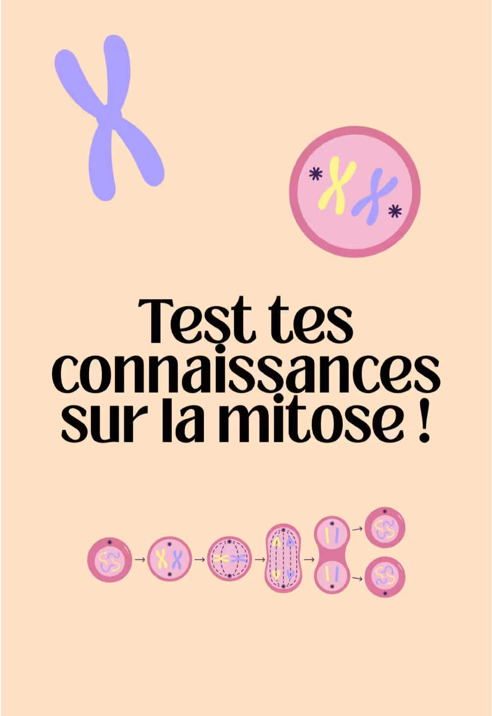 Question 1 : Première phase de la mitose ? ✅ B. Prophase : C’est la première étape. Les chromosomes se condensent et la membrane nucléaire commence à disparaître. ❌ A. Télophase : C’est la dernière phase, où les noyaux se reforment. ❌ C. Métaphase : C’est la 2ᵉ phase, après la prophase, quand les chromosomes s’alignent. ⸻ Question 2 : Que se passe-t-il en métaphase ? ✅ B. Alignement des chromosomes : Les chromosomes s’alignent au centre de la cellule, sur la plaque équatoriale. ❌ A. Condensation : Cela a lieu en prophase, pas en métaphase. ❌ C. Reformation du noyau : Cela se produit à la télophase, pas ici. ⸻ Question 3 : Nombre de cellules après mitose ? ✅ B. 2 : La mitose produit deux cellules filles identiques à partir d’une cellule mère. ❌ A. 1 : Une seule cellule ne résulte pas de la mitose. ❌ C. 4 : C’est le cas de la méiose, pas de la mitose. ⸻ Question 4 : Cellules filles après mitose ? ✅ C. Identiques : Elles ont exactement le même ADN que la cellule mère. ❌ A. Différentes : Faux, c’est le cas en méiose. ❌ B. Haploïdes : Faux, elles sont diploïdes (comme la cellule mère). ⸻ Question 5 : Anaphase : que font les chromatides ? ✅ B. Séparation : Les chromatides de chaque chromosome se séparent et vont vers les pôles opposés. ❌ A. Duplication : La duplication a lieu en phase S, avant la mitose. ❌ C. Condensation : C’est en prophase que les chromosomes se condensent. #revision #biologie #biocell #quiztime 