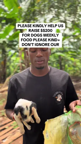 Please kindly don’t scroll, please spare anything to help. #dogfood #doglover #kindness #help #donate #dogrescue 