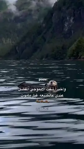 🦦🦦🦦#اكسبلور #مالي_خلق_احط_هاشتاقات🦦 #CapCut #😂😂 