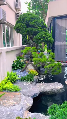 Hồ cá Koi tự nhiên nhưng rất Hiện đại