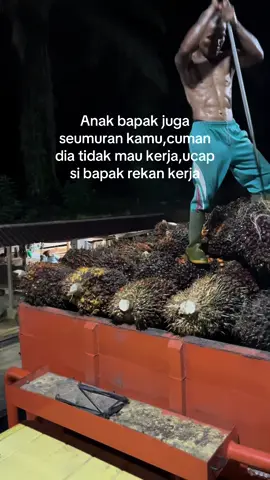 Beda pak,anak bapak gengsi sedangkan saya nggak#storykuli #storywa #masukberanda #fypシ #4you #xybca 