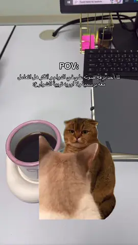 #ترند #مالي_خلق_احط_هاشتاقات #الشعب_الصيني_ماله_حل😂😂 #حركة_إكسبلور #explore #foryou #جدة #احتراق_وظيفي #explore #احتراق_وظيفي #قطاع_خاص #علاقات_سامة #دوام #دوامات 
