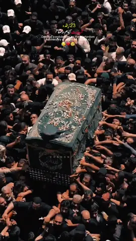 Mola imam-e Raza(a.s) . . . #shia #shahadat #mola #raza #watsappstatus #foryoupage #foryoupageofficial #chandniii14 