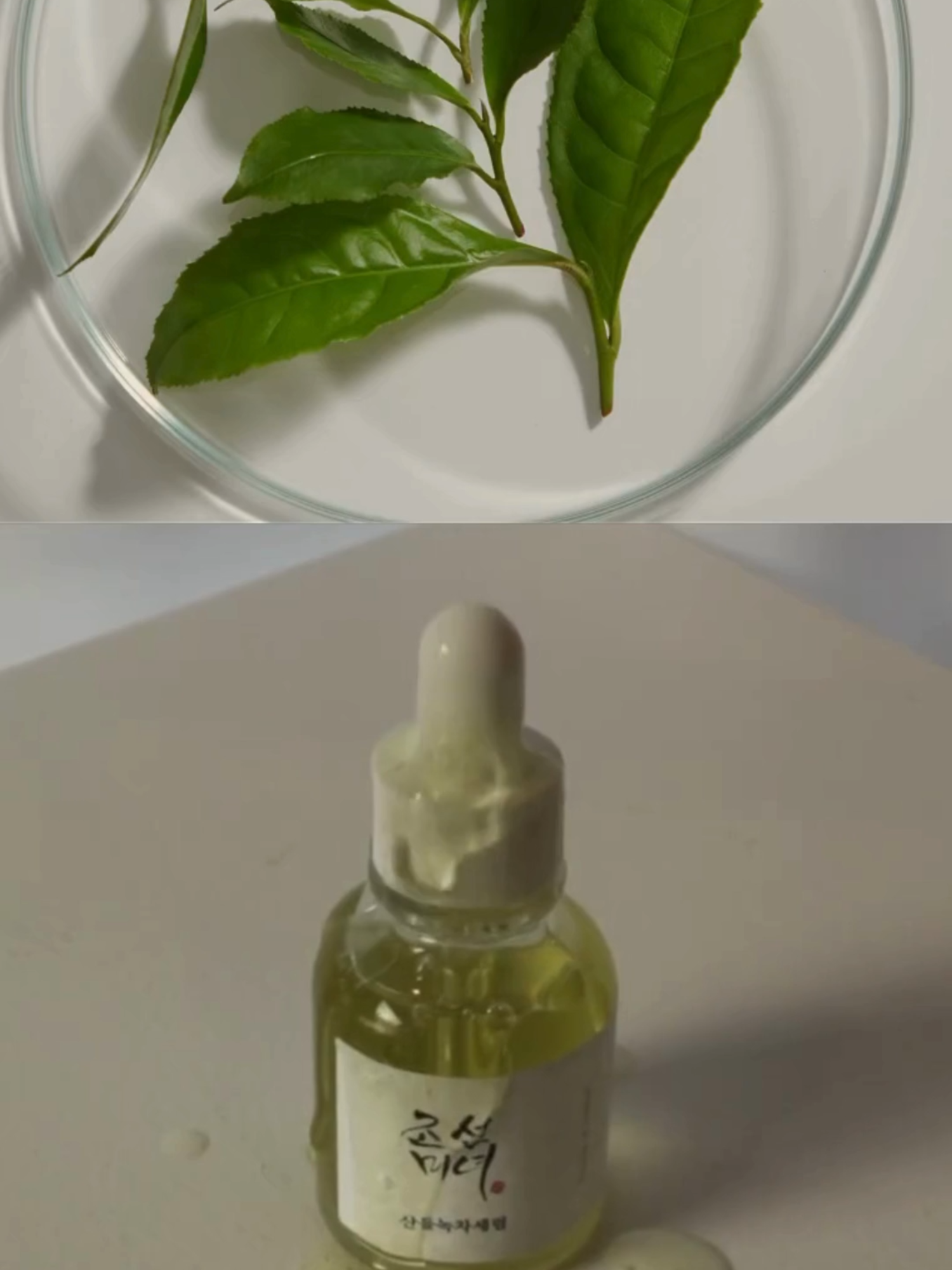 We keep it real—serious ingredients, pure impact. Discover 4 beloved serums, each loaded with powerful Hanbang ingredients designed to meet your skin’s unique needs🌿   *Calming Serum: Green Tea + Panthenol : Soothes sensitive skin and calms irritation *Glow Serum: Propolis + Niacinamide : Provides tense in pores and renews your glow *Revive Serum: Ginseng + Snail Mucin : Revitalizes and boosts elasticity for tired skin *Glow Deep Serum: Rice + Alpha-Arbutin : Brightens and hydrates for that natural glow   Designed to work, just made for you💚