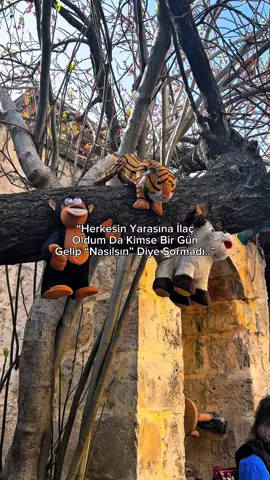 “Silinmeyecek Bir Söz Bırak”🕊️   ———————————————— #storylikvideolar #keşfet #anlamlısözler #muratbayraktar #gaziantep #fypシ゚viral