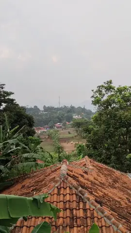 #selamatsore 