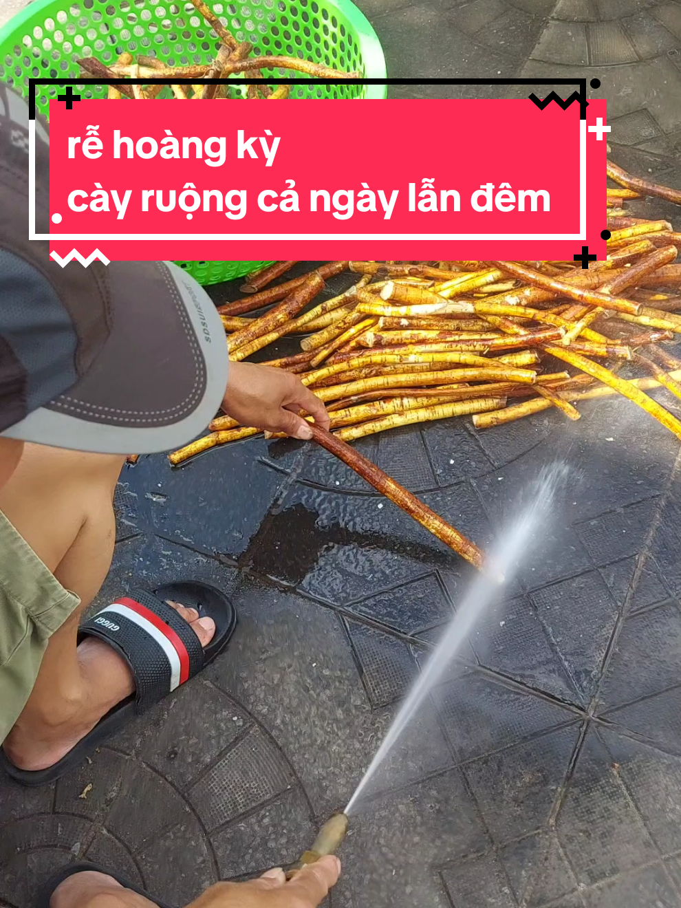 hoàng kỳ nam#chophienvungcao #tâybac #suhuongtiktok #hoangkynam #xu_huong #xuhuongwstiktok2025 #hoangky #