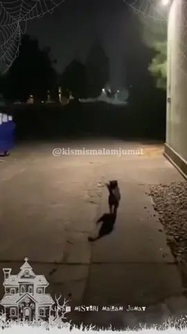 Jumpscare 😲😲😲😲😲 .... #kismismalamjumat #kismis #ceritahoror #ceritahororindonesia #ceritamisteri #ceritamistis #horor #hororindonesia #ceritaviral #hororviral #ceritaviral #kisahmisteri #kisahmistis #videohoror #hororstory #pocong #kuntilanak #genderuwo #seram #penampakan #setan #ceritasetan #viral #viralvideos #fyp