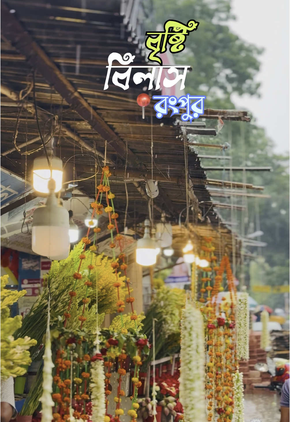 বৃষ্টি বিলাস🌨️🌹 . . . #rain #rainyday #rangpur #cinematography #videography #explorar #fyp