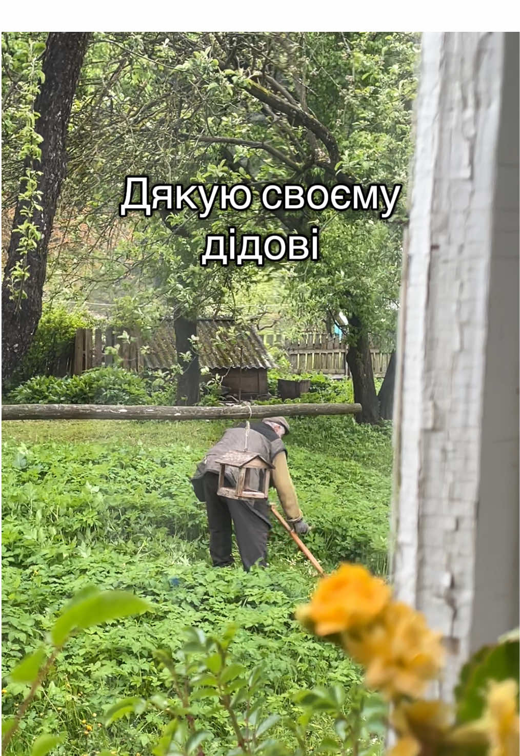#дідо #погарняк #гуцули #гори #карпати #життявселі