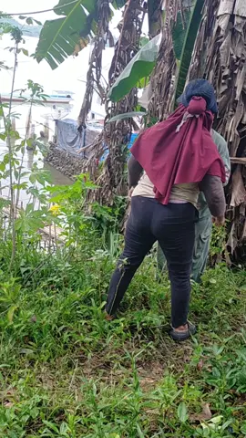 Deg Degan jg sy leray ini ibu ibu tadinya sy mau DTG liat kintal yg mau d bangunkan rumah itu karena katanya masuk di kintalnya kita,E teryata mereka b tengkar kan mi😀🫢