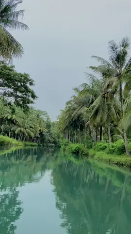 Pacitan punya sungai secakep ini💚#pacitan #pacitanstory_ #pacitanjawatimur #sungaicokelpacitan #fypp 