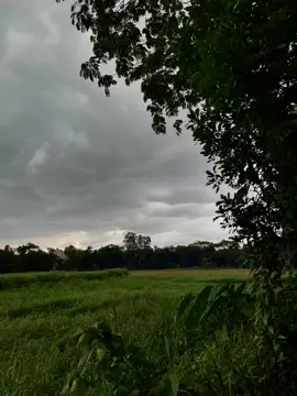 বৃষ্টি আসার আগ মূহুর্ত বেশি ভালো লাগে 🙂❤️‍🩹 #foryoupage #fyp #tiktokbangladesh #bdtiktokofficial🇧🇩 #unfrezzmyaccount #ayansutra928 @TikTok @TikTok Bangladesh 