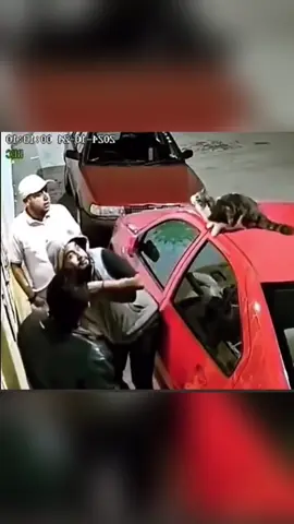 Cat slip 🤣🤣#funnyvideos #cat #kitten #fyp #pet #funnycat #catoftiktok #catlover #funny #tiktok #cute #kitty #catsoftiktok 