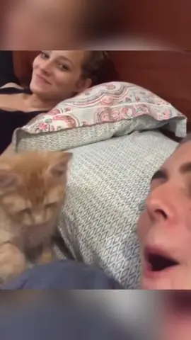 Who can resist a cat that sleeps with you? 🥰🐱#funny #funnyvideos #funnycat #funnytiktok #funnycatvideo #funnymoments #cats #foryou #tiktok #tiktok #cat 