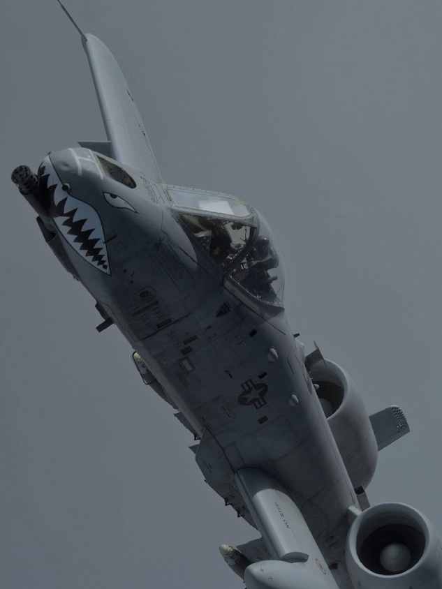 A-10 Thunderbolt II, juga dikenal sebagai 