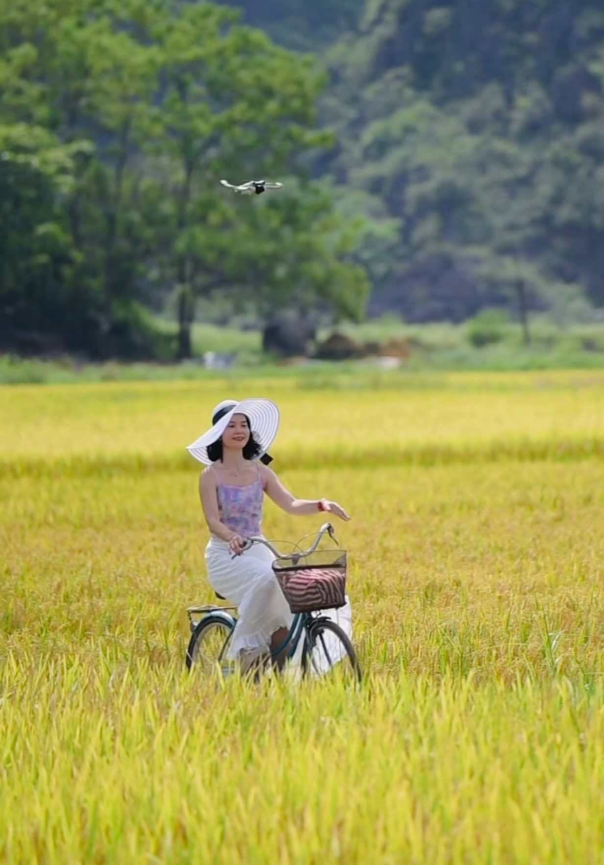 Đồng Lúa Chín Vàng bất tận…Ai book tour Cúc Phương- Đầm Vân Long trong tuần này đều được tặng ảnh và video đồng lúa nhé ạ ❤️#vuonquocgiacucphuong #cucphuongnationalpark #huyhoangphoto #meoyeudoi #dulich #phototour #dulichvietnam #ninhbinh 