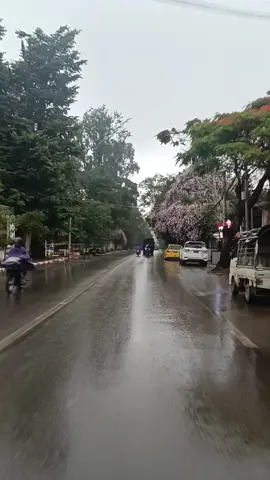 ချစ်ရတဲ့တောင်ကြီးမြို့လေး ဒီလမ်းလေးနဲ့စက္ကူပန်းလေးအရမ်းလှနေလို့💗💗☔🥰#fyp #weather #taunggyi #tiktok 