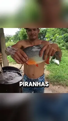 Fishing with piranhas #foryou #fyp #tiktok #fun 