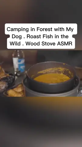 Camping in Forest with My Dog . Roast Fish in the Wild . Wood Stove ASMR#camping #campinglife 