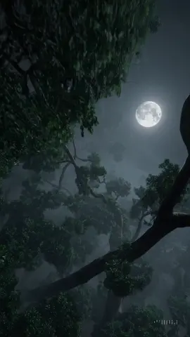 Amazon rainforest at night, covered in dense, misty canopy. Moonlight glows faintly over the treetops, casting eerie shadows. Breaking through the jungle foliage, a massive, terrifying snake slithers along the forest floor—its enormous body coils around trees and vines, partially hidden by vegetation. The snake’s glistening, moss-covered scales shimmer in the dim light, and its glowing eyes are just barely visible through the leaves. The scene captures a chilling moment of primal fear from above, with cinematic lighting, rich atmospheric fog, and ultra-detailed textures emphasizing the vast, mysterious jungle and the immense size of the creature.