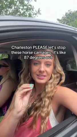 It is too hot outside for these poor horses! Charleston can we please figure out a different option, it gets SO hot here!  #horses #charleston #charlestonsc #charlestonhorses #carriagehorse #carriageride 