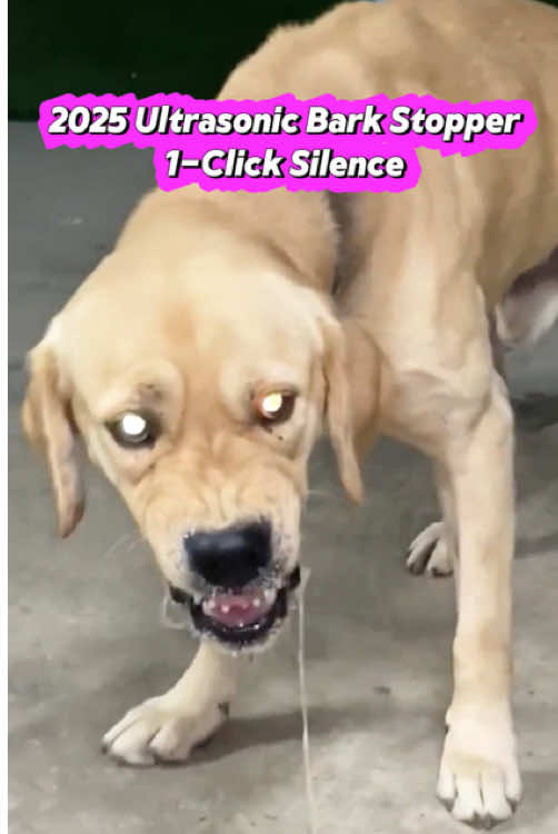 🚨#DogTrainingHacks #PetTech Tired of endless barking? Meet GoliPal 2025—the ultrasonic bark control that actually works! ✅ 100ft Range: Stop barking through walls & fences instantly! ✅ Zero Harm: Safe ultrasonic waves—no shocks or yelling! 👉 Watch our demo: Barking dog → Silence in 3 seconds!#tiktokshop #fyp #2025 #tiktok #TikTokShopFathersDay#TikTokShopRestock#spotlightfinds #TiktokShopMemoriaiDay