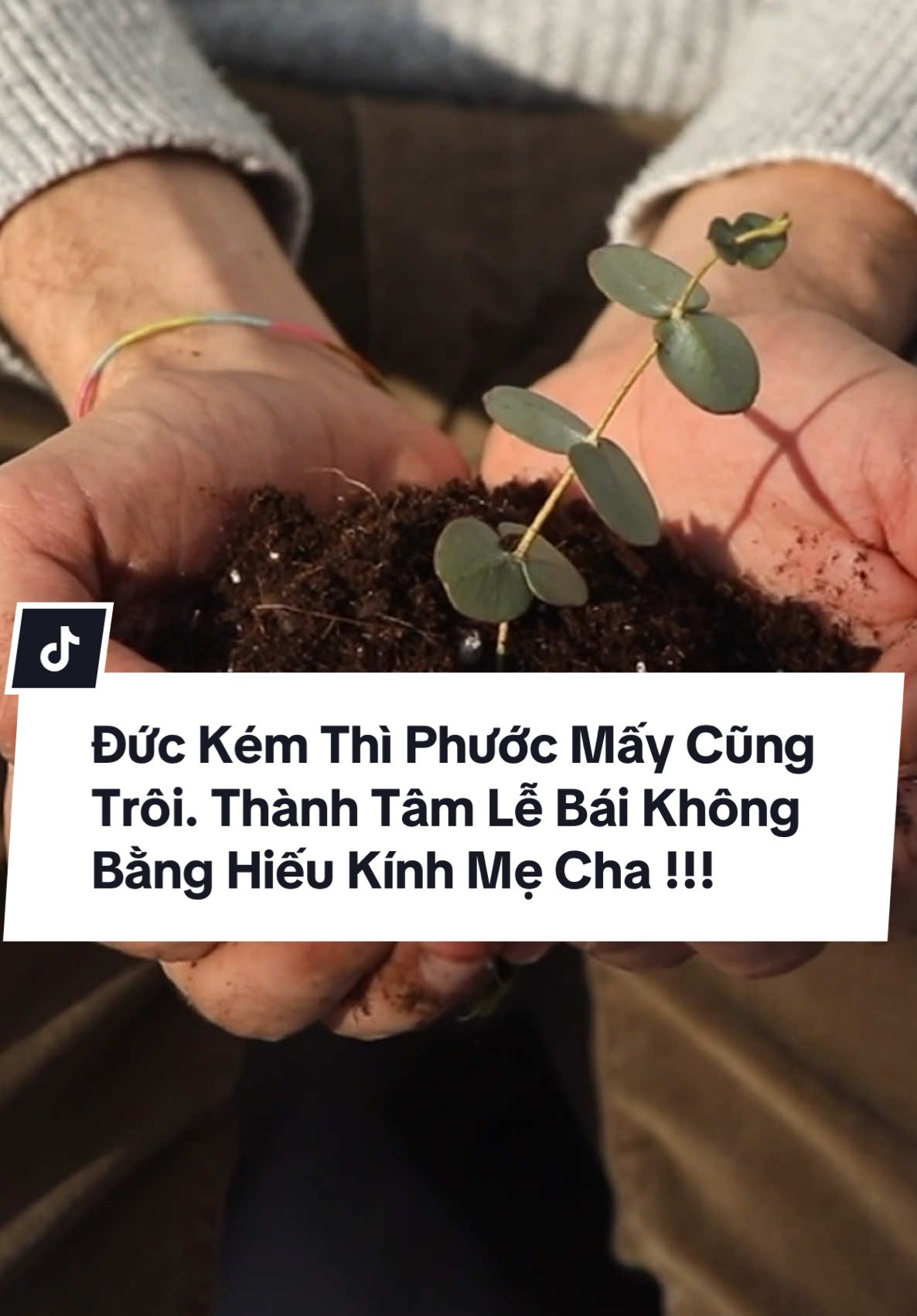 Đức Kém Thì Phước Mấy Cũng Trôi. Thành Tâm Lễ Bái Không Bằng Hiếu Kính Mẹ Cha !!! #phongthuy #phongthuytamlinh #tâmlinh #phongthuytrankhuong #chiasekienthuc #hieudungvephongthuy #tu #phuocbau #nghiepchuong #nghiep #nhanqua #nghiepden #phuocduc #đức #ducnangthangso 