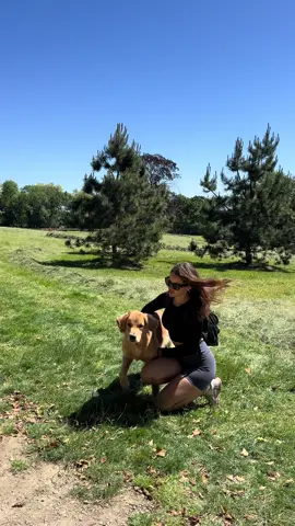 INFO⤵️ 📍Waze y google map: Parc Lullin Genthod El parque pone a disposición:  🚰 agua potable  🚿 duchas  🐕 bolsitas  🚾 servicios  #perro #perros #mascota #ginebra #geneve #genève #genthod #suiza #paseo #actividad #petfriendly 