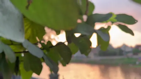 Một chiều đi bộ như thường ngày