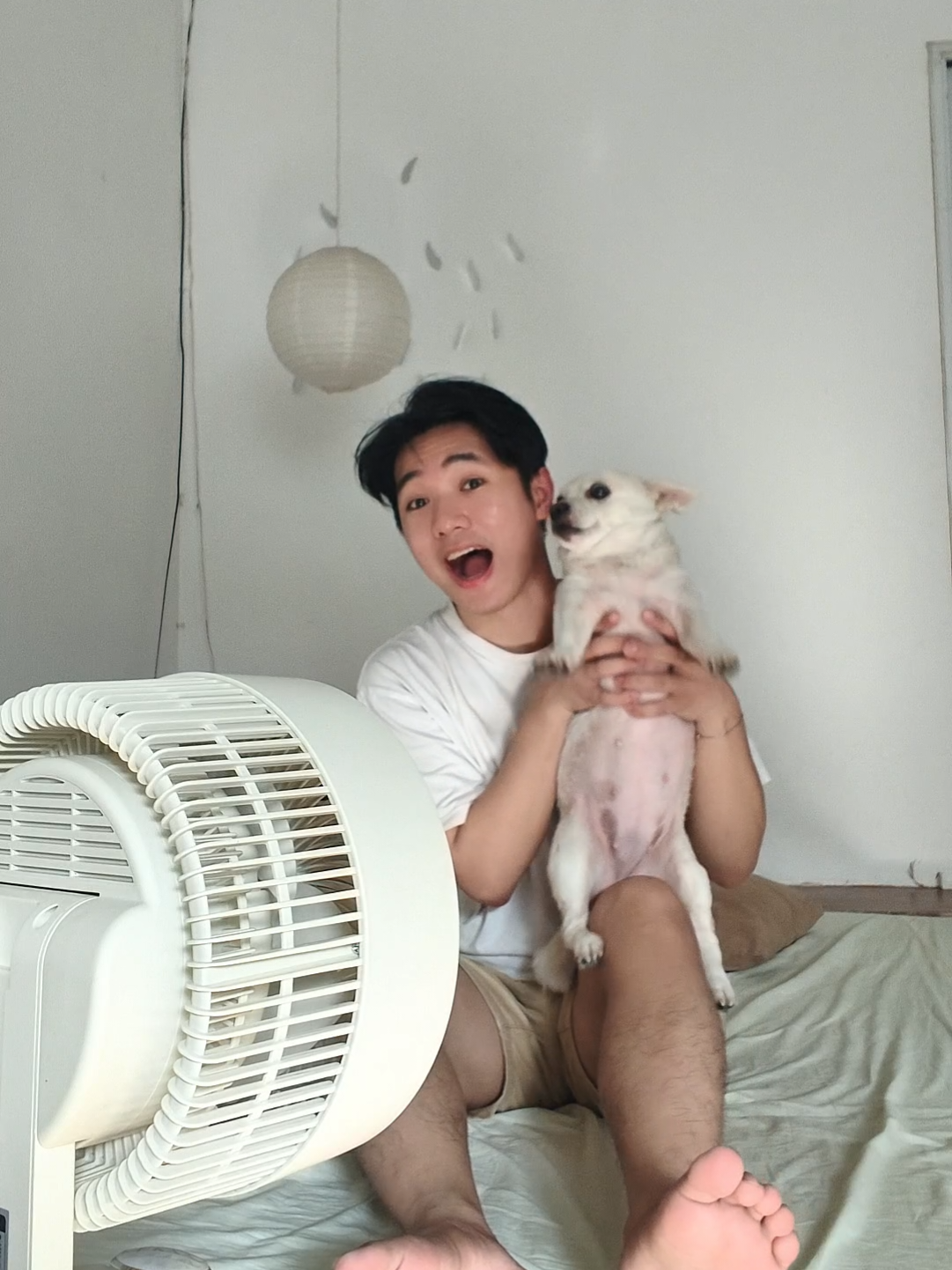 Fan này nghe lời lắm :))) Nhưng chưa đủ đô nha  #tomopenthouse 