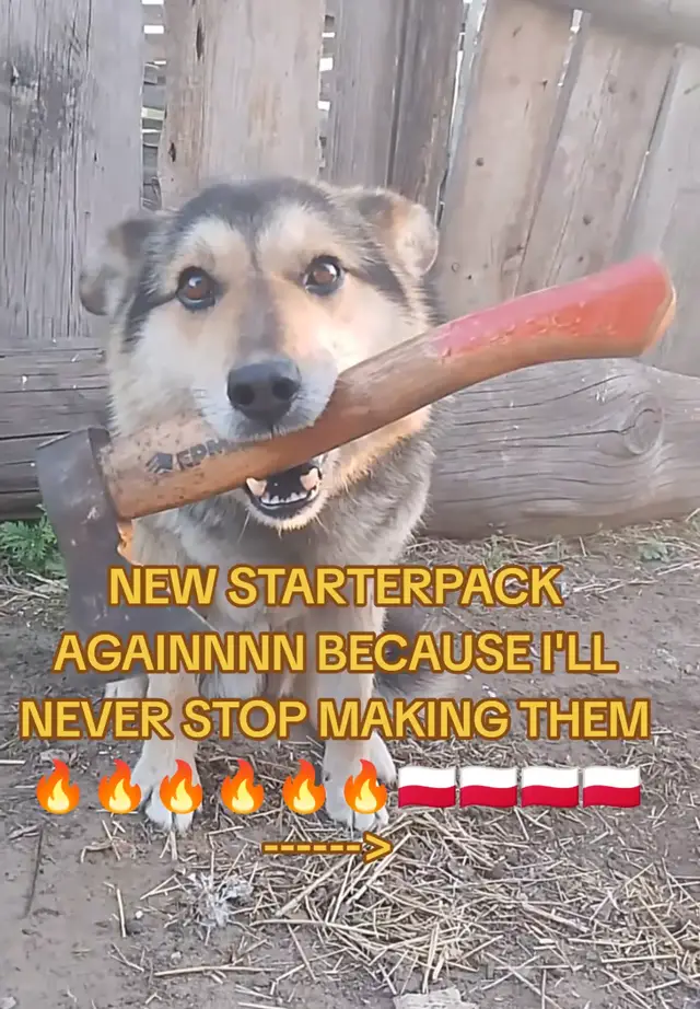 #cringe #polskagurom #starterpack #ilovetweek #jeffobciagneci #😭 #geje #southpark #creepypasta #eddsworld #idk #tweektweak #bendrowned #msi #mlp #sonic #yes 