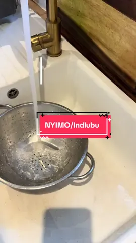 How do you like your nyimo? Some call them bambara nuts, jugo beans, indlubu, akatapa, okpa, or abonobono, what do you call them in your country? Would you boil, roast, or stew them? Now available to order on our website – link in bio! #Nyimo #BambaraBeans #zimtiktokers🇿🇼🇿🇼🇿🇼 #zimbabweantiktok #zimtiktok #zimbabwe #JugoBeans #Indlubu #Akatapa #Okpa #Abonobono #ZimbabweanFood #NigerianFood #GhanaFood #MalawiEats #ZambiaCuisine #KenyanFood #BotswanaFood #SouthAfricanFood #TraditionalEats #PlantBasedProtein #VeganAfricanFood #TikTokFood #AfricanFoodTok #ShopAfrican #SupportLocal #MwanakaFresh