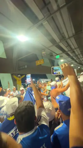 Rebelioooo 💙 #cruzeiro #atletico #fuba #mafiaazul #tfc #mineirao #brasileirao 