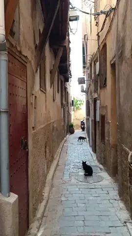 #الحمدلله_على_كل_حال_دائماً_وابداً #تحياتي_لجميع_المشاهدين_والمتابعي #mdina #fes #maroc 