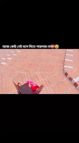 করে কি হবে 🫣#vairalvideo 