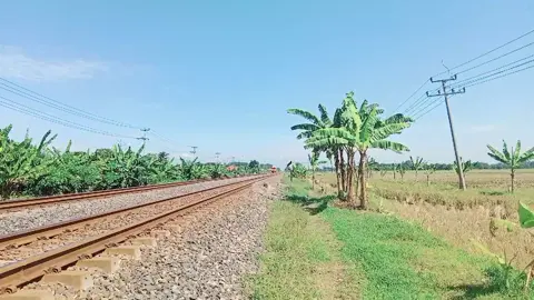 Versi video kujr#doubletracksi #klbd3 #kujr #fyp #foryoupage #tiktokpelitfyp #dt #fypppppppppppppppppppppppppppppppppp