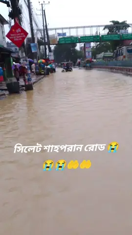 সিলেট শাহপরান রোড পরিস্থিতি 🤲😭#bangladesh #sylheti_fua #আল্লাহ্_সর্বশক্তিমান☝️❤️🕋 #following #mdrumondewan #follower #vairal #2025 @TikTok 