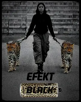 EFEKT BLACK o smaku baobabu i mocy lamparta zerwie się ze smyczy. Premiera już jutro tylko w Żabce.