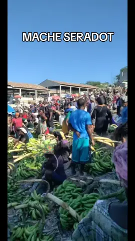 #tiktoklive #livehighlights  mache seradot Nan commune montrouis 