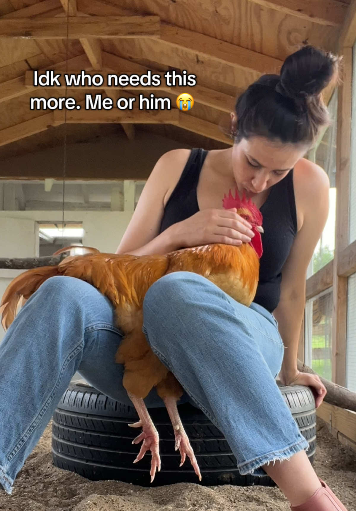 Weird? MAYBE! But these morning rooster snuggles honestly feels like meditation to me. Most days I don’t bring my phone, and we just sit and listen to the birds, the wind. I think about the day ahead, what I want to accomplish, how I want to feel. ✌️ God bless Mr. Buff and his ability to set the day’s vibe. #mrbuff #bufftherooster #bufforpington #chickentok 